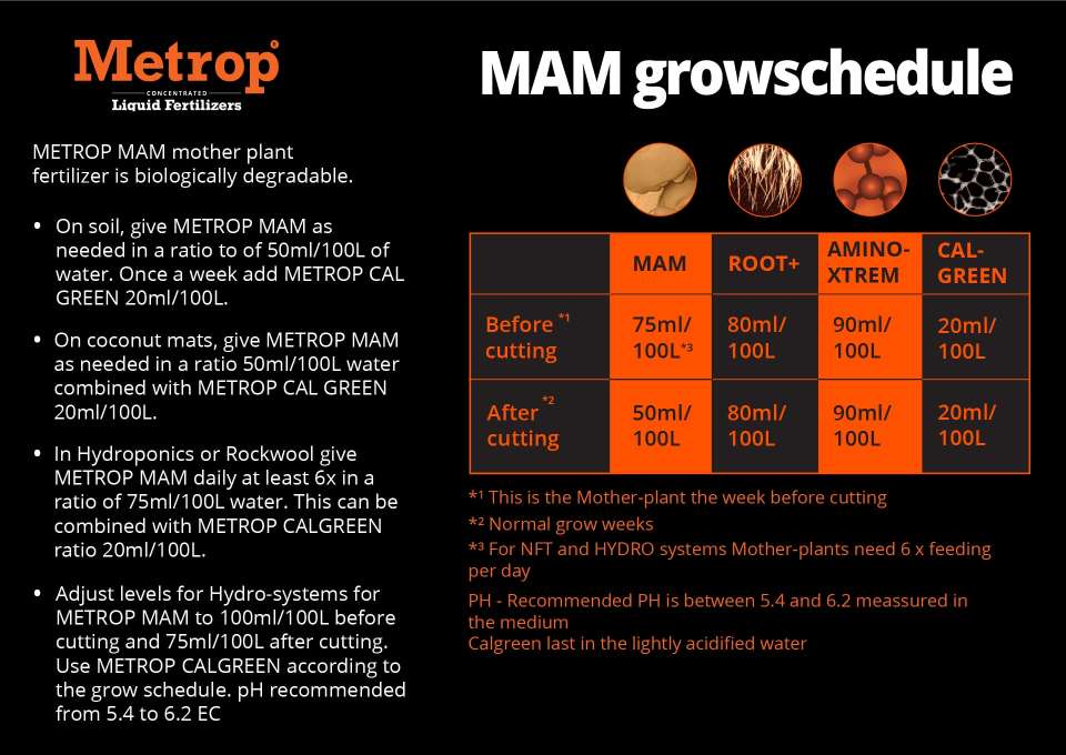 MAM grow schedule